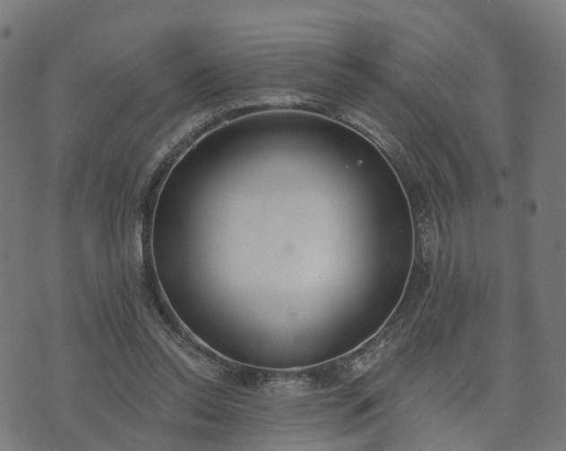 X0000074940350200609081356