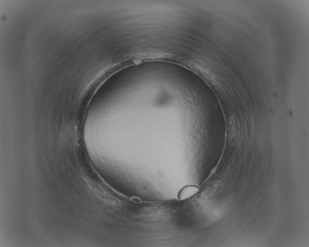 X0000074940351200609081356