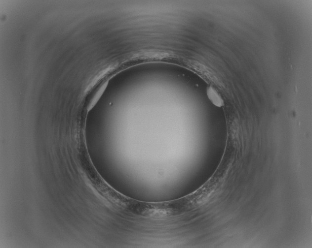 X0000074940352200609081356