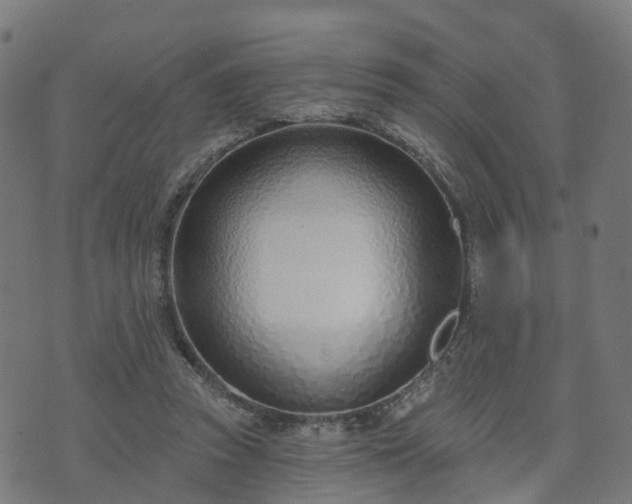 X0000074940353200609081356