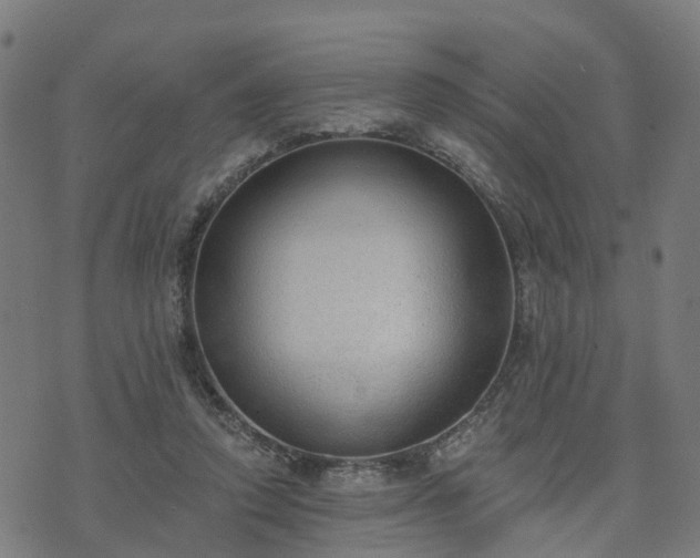 X0000074940354200609081356