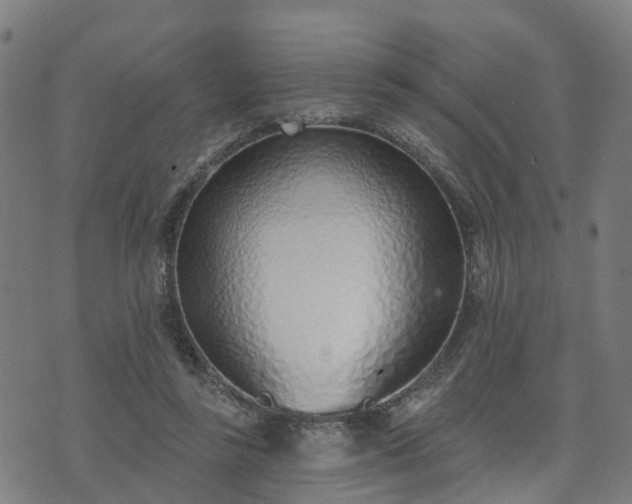 X0000074940355200609081356