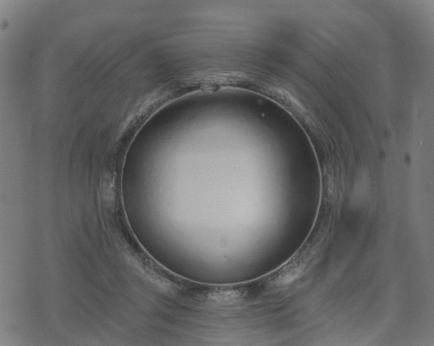 X0000074940357200609081357