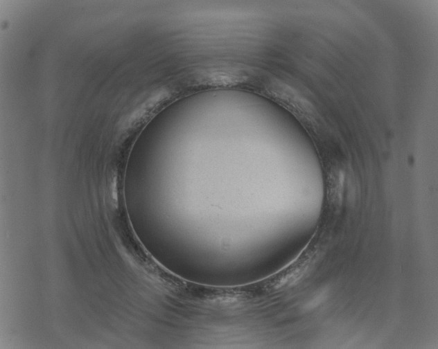 X0000074940358200609081357