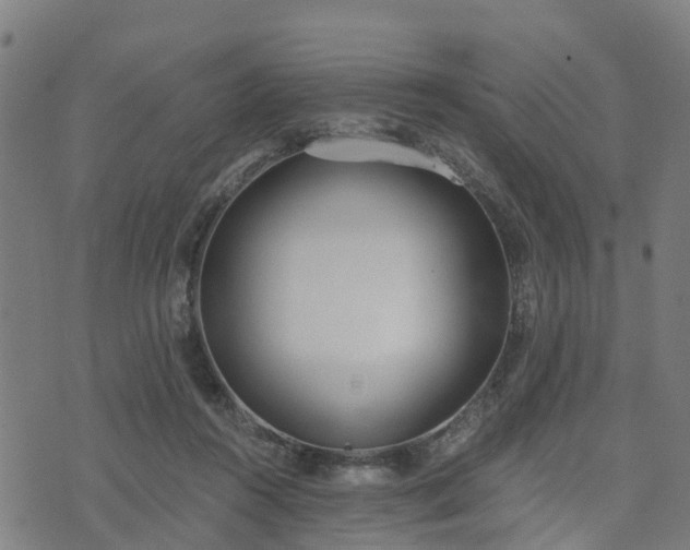 X0000074940360200609081357