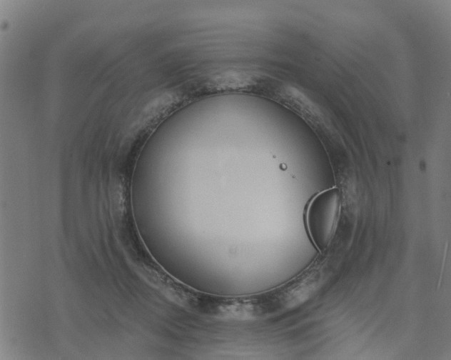 X0000074940362200609081357