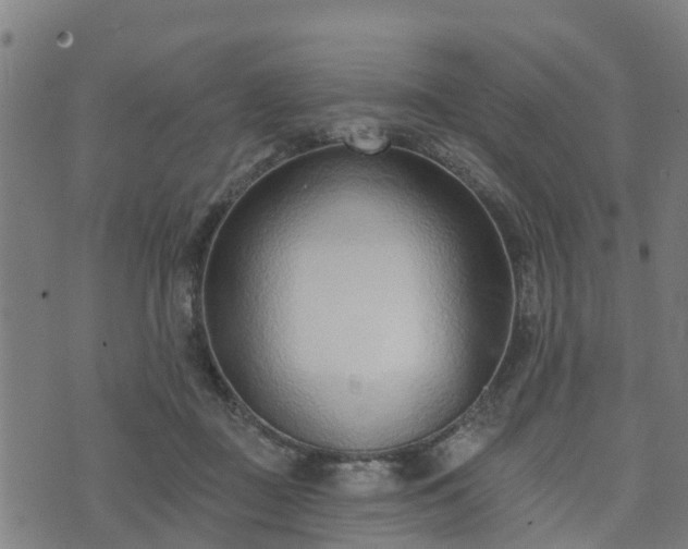 X0000074940363200609081357