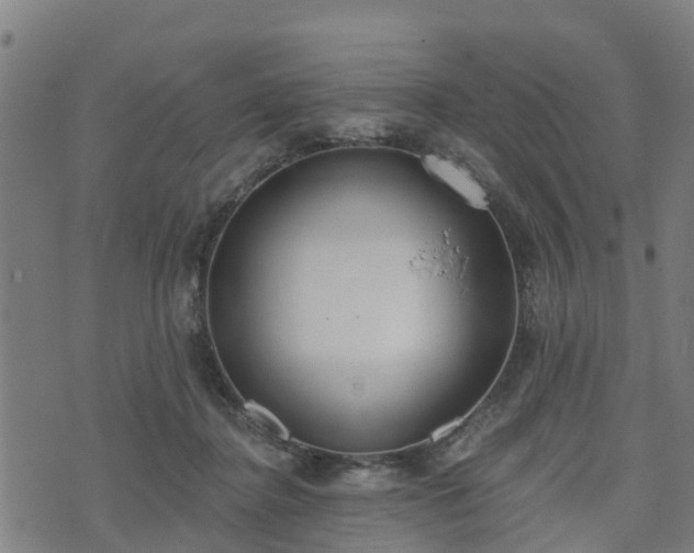 X0000074940364200609081357