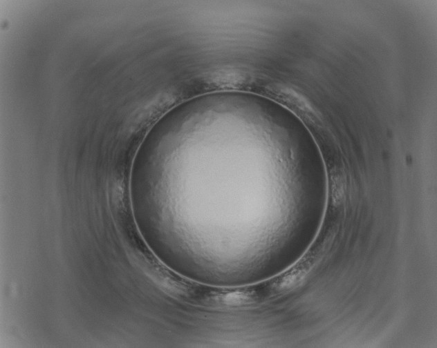 X0000074940365200609081357