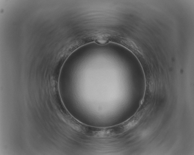 X0000074940366200609081357