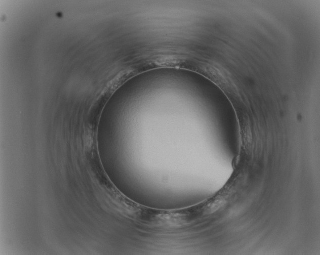 X0000074940367200609081357