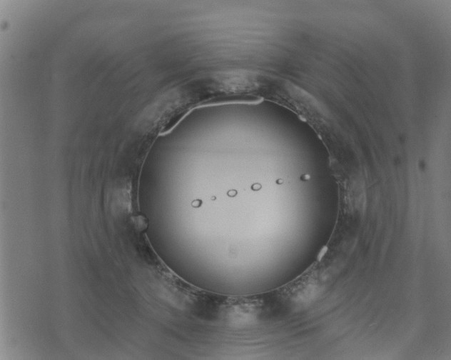 X0000074940368200609081357