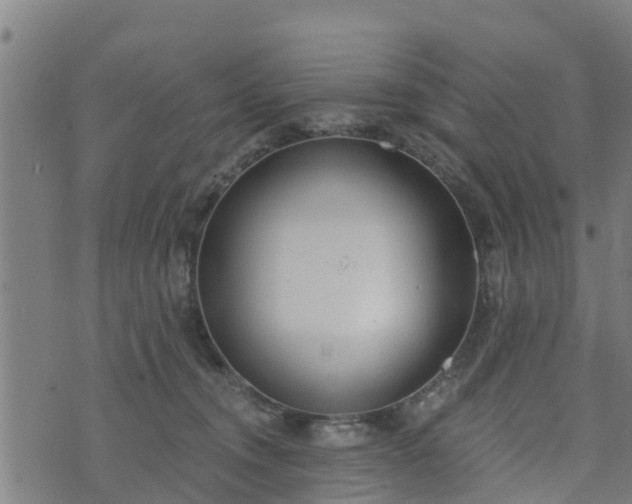 X0000074940372200609081357