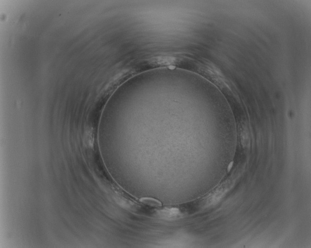 X0000074940374200609081357