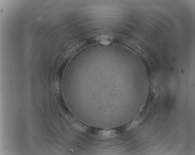 X0000074940375200609081357