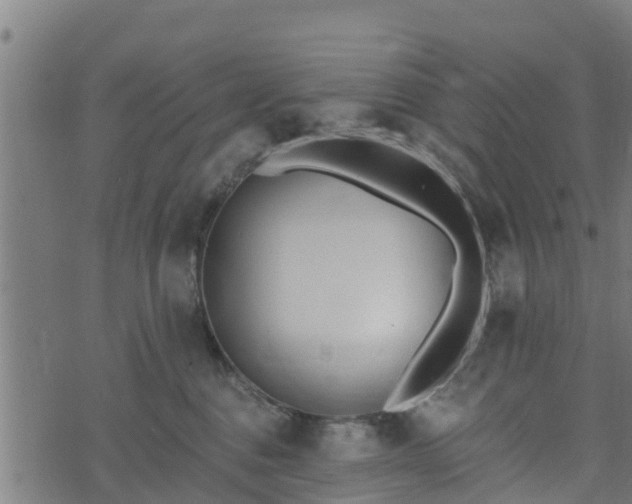 X0000074940376200609081357