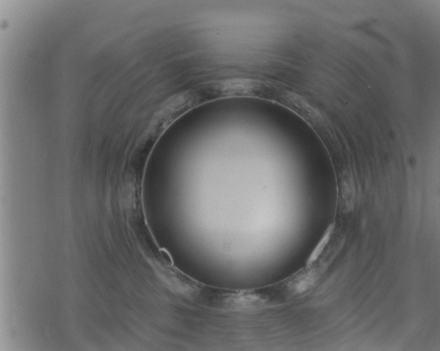 X0000074940379200609081357