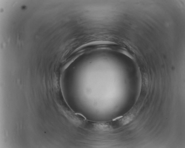 X0000074940380200609081357