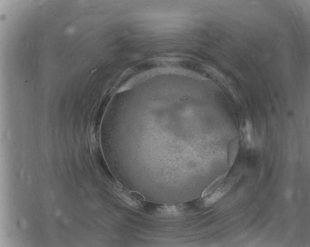 X0000074940381200609081357