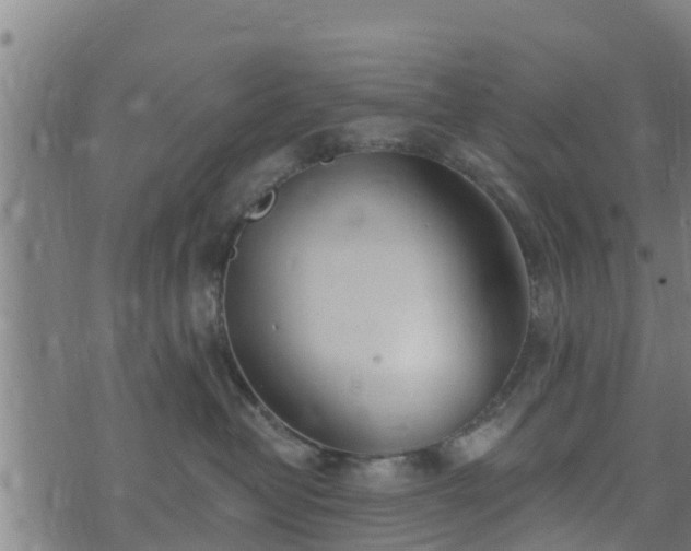 X0000074940382200609081357