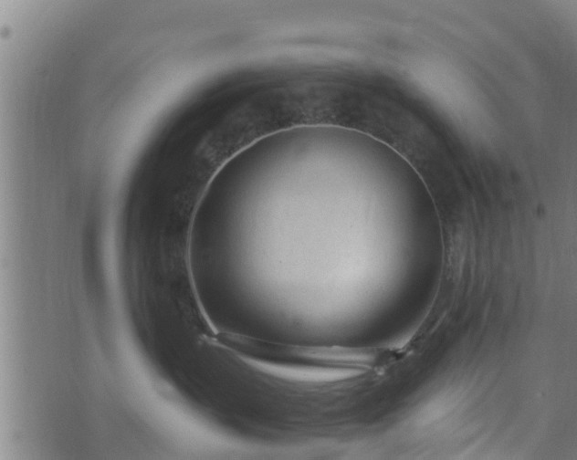 X0000074940383200609081357