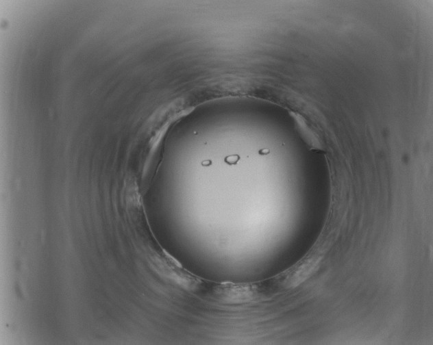 X0000074940384200609081357