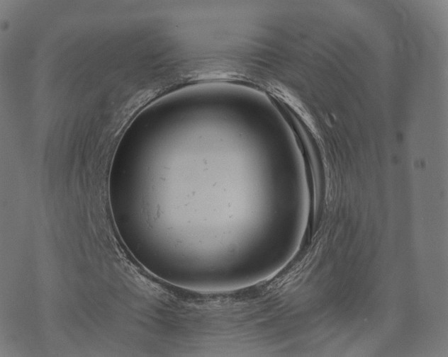 X0000074940385200609081356