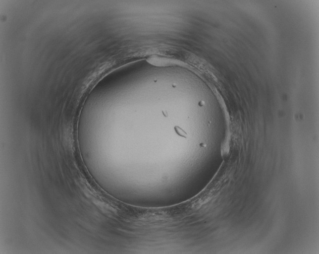 X0000074940386200609081356