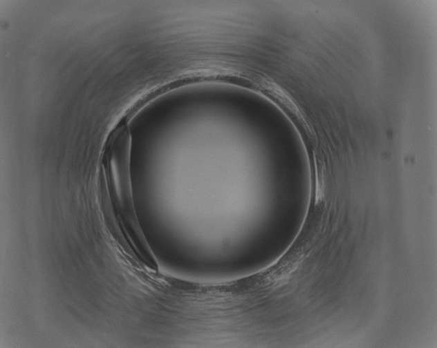 X0000074940387200609081356