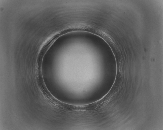 X0000074940388200609081356