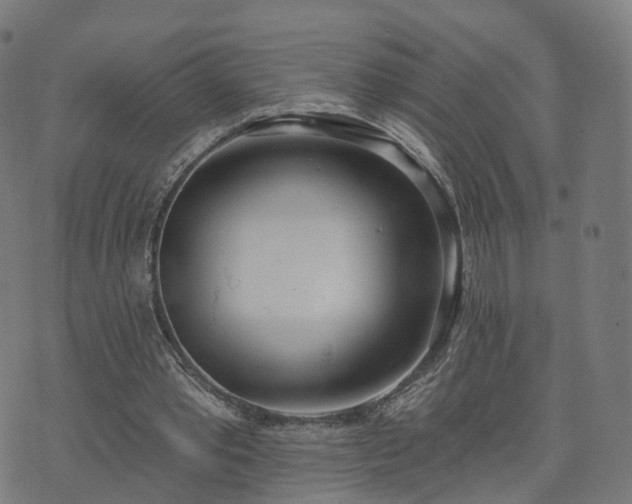 X0000074940389200609081356