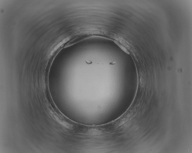 X0000074940390200609081356