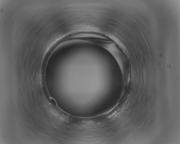 X0000074940391200609081356