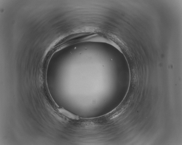 X0000074940392200609081356