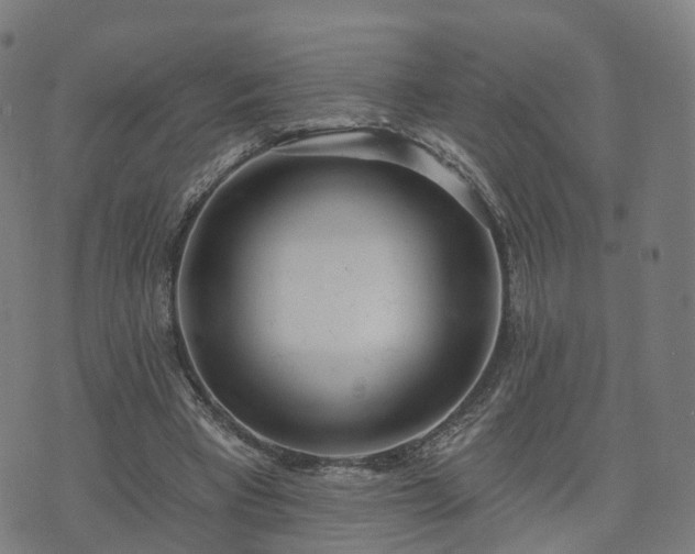 X0000074940393200609081356