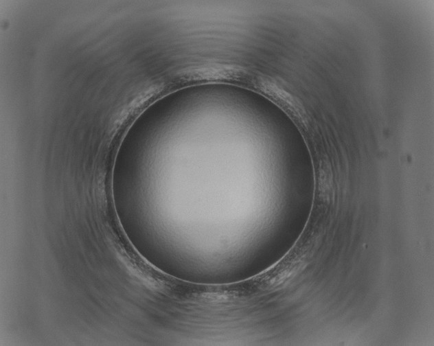 X0000074940394200609081356