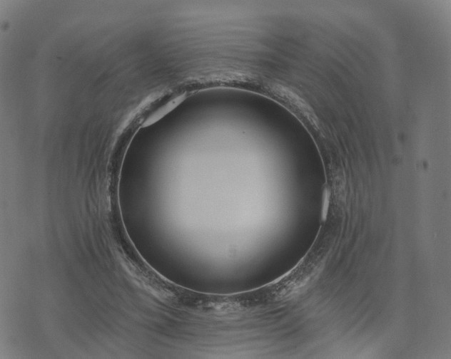 X0000074940395200609081356