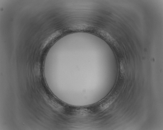 X0000074940396200609081356