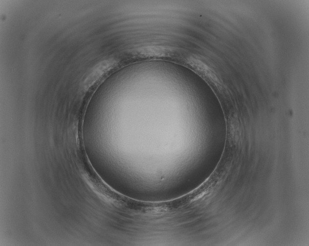 X0000074940398200609081356