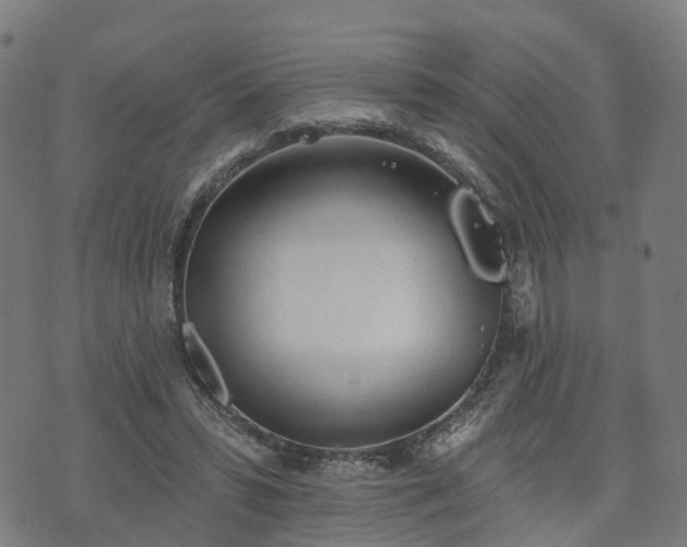 X0000074940399200609081356