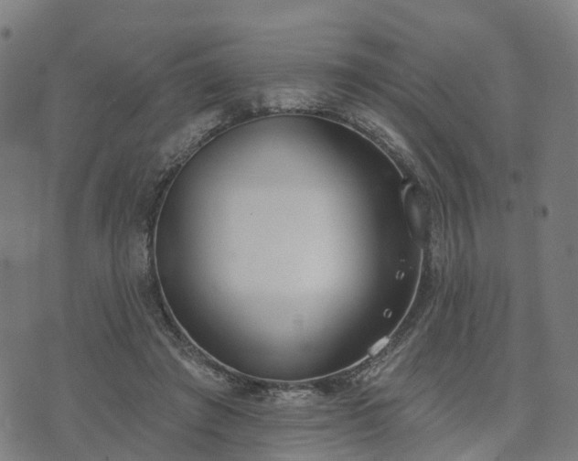 X0000074940401200609081356