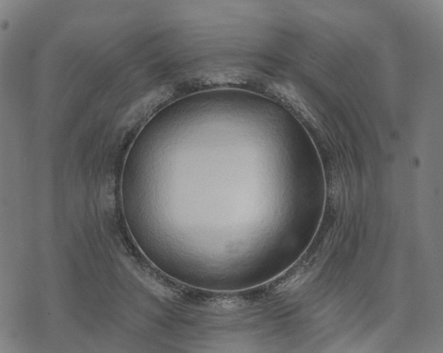 X0000074940402200609081356