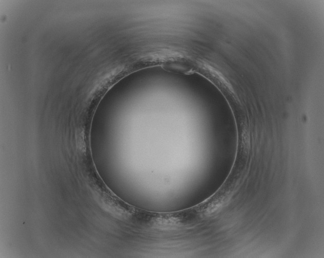 X0000074940403200609081356