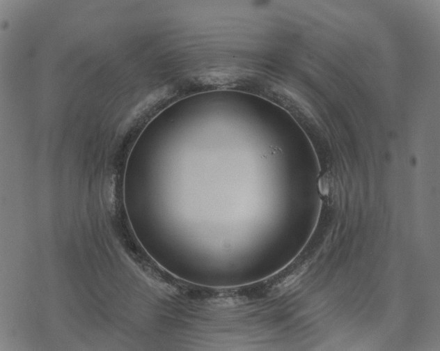 X0000074940404200609081356