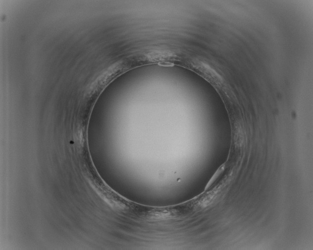 X0000074940405200609081356