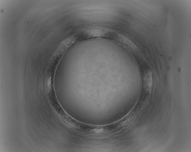 X0000074940406200609081356