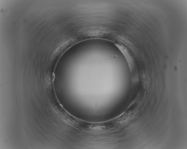 X0000074940407200609081356