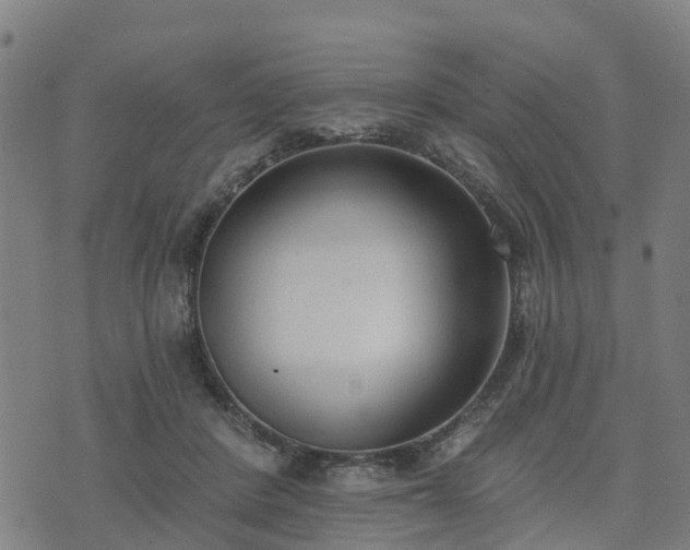 X0000074940408200609081356