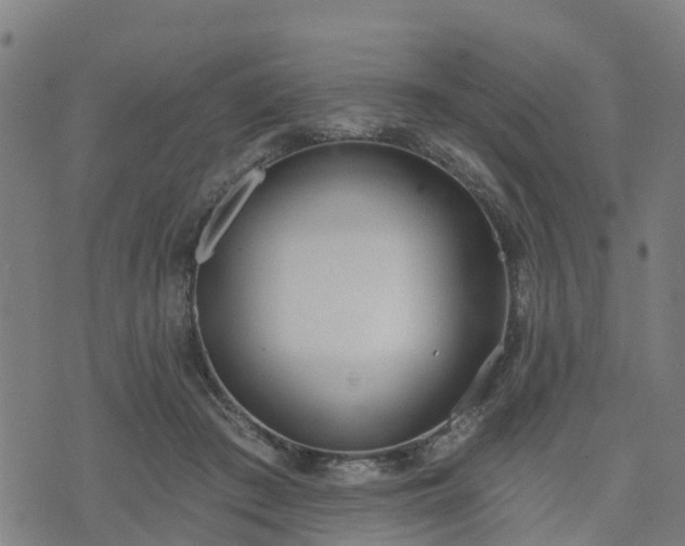 X0000074940409200609081356