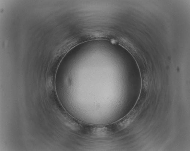 X0000074940410200609081356